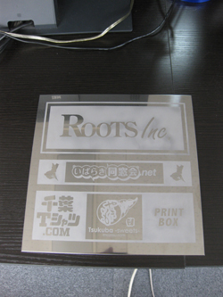 roots-1.jpg